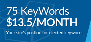 75 keywords for $13.50 a month